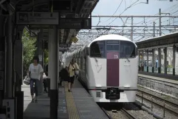 Holiday Rapid View Yamanashi 