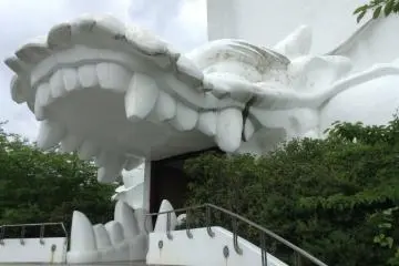 Gallery image
