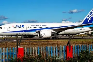 ANA 787-800 Dreamliner (Photo: <a href="https://www.flickr.com/photos/fairyland_s991358/36070692292/" target="_blank" rel="noreferrer noopener nofollow">Duke Lin</a> / <a href="https://creativecommons.org/licenses/by-nc-nd/2.0/" target="_blank" rel="noreferrer noopener nofollow">CC BY-NC-ND 2.0</a>)