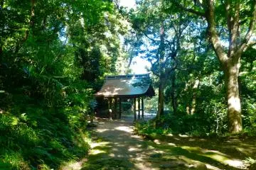 Gallery image