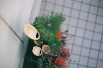 Kadomatsu decoration (Photo:  Kadomatsu – <a href="https://www.flickr.com/photos/jmettraux/11829718924/" target="_blank" rel="noreferrer noopener nofollow">jmettraux</a> / <a href="https://creativecommons.org/licenses/by/2.0/" target="_blank" rel="noreferrer noopener nofollow">CC BY 2.0</a>)