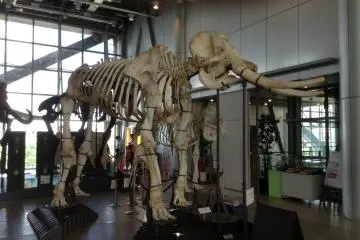 Sendai Science Museum
