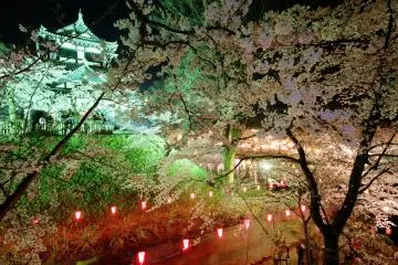 Festival Sakura di Kastil Takada  2027