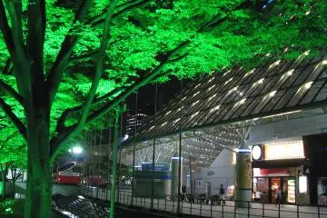 Gallery image