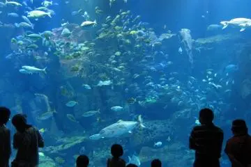 Oga Aquarium Gao