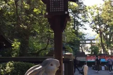 Photo: JAPANING HOTEL 稲垣 美智子
