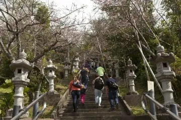 Nago Cherry Blossom Festival (Photo: <a href="https://commons.wikimedia.org/wiki/File:Nago_celebrates_52nd_annual_Cherry_Blossom_Festival_140125-M-ZH183-042.jpg" target="_blank" rel="noreferrer noopener nofollow">Cpl. Natalie Rostran / Public Domain</a>)