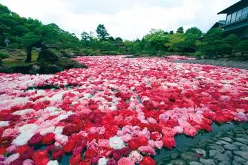 Adachi Museum of Art and Yuushien Gardens