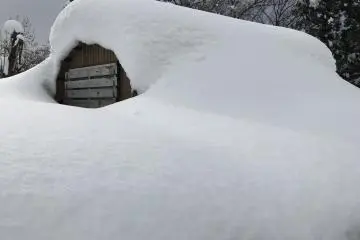 Someone isn't seeing their gardening tools until spring (Photo: Kim B)