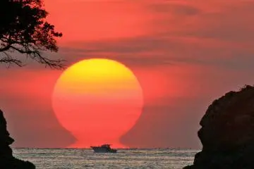 Photo: Kochi Prefecture