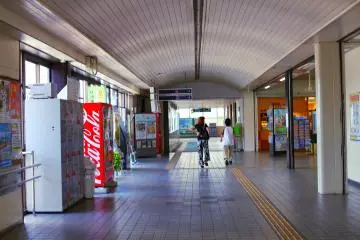 Gallery image