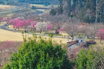 Appreciating Mito City