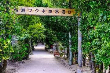 Bise Village, Okinawa
