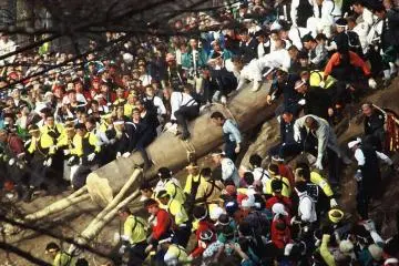 Onbashira Matsuri in Suwa, Nagano 2028