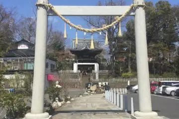 Gallery image
