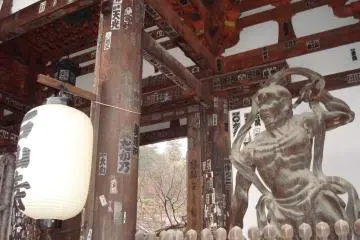 The main shrine gates