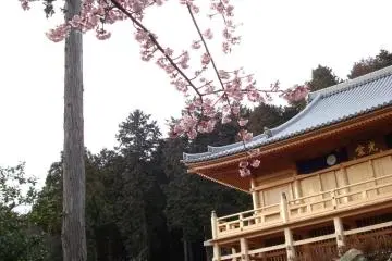 Ishiyama-dera