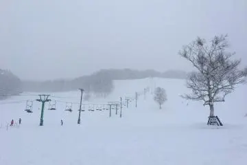 Fujiwara Ski Resort & Sunbird Hotel