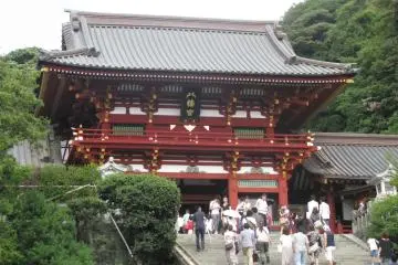 Gallery image