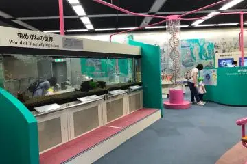 Gallery image