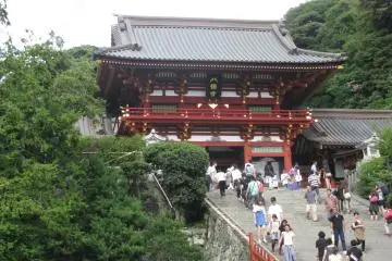 Gallery image