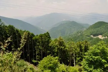 View from the parking lot, at an elevation of 1,076 meters on Tamaki Mountain (Photo: Virginia González)