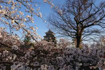 Road Trippin' Japan (Part One)