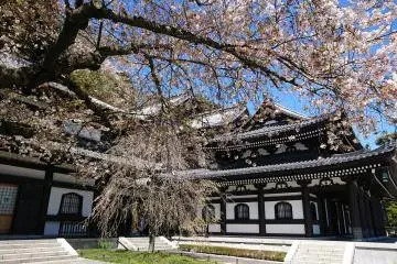 Road Trippin' Japan (Part Two)