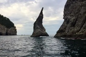 Incredibly Captivating Dogo Island