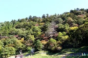 A Trip to Naruko