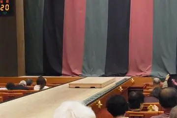 A close up of a kabuki stage and its hanamichi flower path, a walkway extending into the audience seating. (Photo: <a href="https://commons.wikimedia.org/wiki/File:%E6%AD%8C%E8%88%9E%E4%BC%8E%E5%BA%A7_in_2014_(15142909430).jpg" target="_blank" rel="noreferrer noopener nofollow">urasimaru</a> / <a href="https://creativecommons.org/licenses/by-sa/2.0/" target="_blank" rel="noreferrer noopener nofollow">CC BY-SA 2.0</a>)