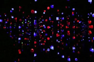 Found at TeamLab Borderless  (Photo: Andrea Xie )
