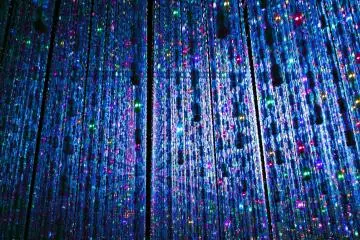Found at TeamLab Borderless  (Photo: Andrea Xie)