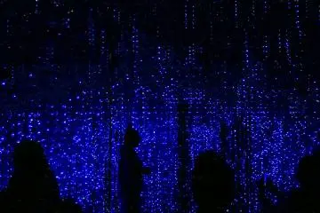 Found at TeamLab Borderless  (Photo: Andrea Xie )