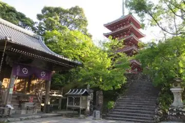 Mountain-top Temple and Gardens in Kochi City