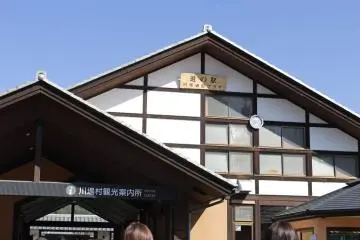 Gallery image
