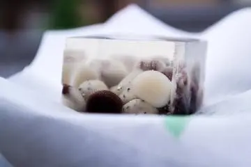 Red and white beans captured inside agar gel (Photo: <a href="https://www.flickr.com/photos/sayotsu/28387650632/in/photolist-iYw3eJ-baAZrZ-baB1og-baAZkF-baAYEB-baB39g-baAVFZ-88769f-baAZQt-baAVep-88765m-883TzV-Kfw8wh-dtHDsD-KfHWcK-ahnZRR-bE92Us-7SsXRa-bE91WJ-bT3LY4-bE92Bj-bE92rW-LM3gYL" target="_blank" rel="noreferrer noopener nofollow">sayo ts</a> / Public Domain)