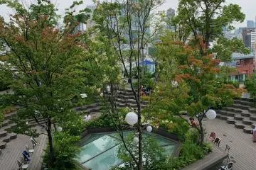 Tokyu Plaza Rooftop
