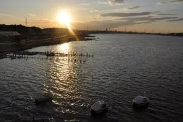Teganuma Marsh in the evening  (Photo: <a href="https://www.flickr.com/photos/yellow_bird_woodstock/4004703900/in/photolist-7oC7rs-fMjZgo-buWySF-4Y8EPd-buWyRP-4Y8nZw-buWyP4-buWz88-buWzcx-buWyQp-buWyYF-7oC7sA-7oye96-9EuhYM-9ExcM1-5J7nag-aJwsW2-akTWV6-76T9WY-akTYvH-9EuhWB-buWyWX-buWyM8-2LGdhE-2LBQ9r-buWz4p-buWyVc-buWzor-buWzhe-2LBPQX-buWzmr-buWz1i-buWzan-tqJEE3-akTX7T-akTWQF-akWLTu-akWLio-9ExcQG-akTXtv-cojpcQ-aJwu1x-akWLEu-cojouG-akWKBW-25CnV4o-toFAz1-toFAHs-toFyLS-tr2916" target="_blank" rel="noreferrer noopener nofollow">@yb_woodstock</a> / <a href="https://creativecommons.org/licenses/by-sa/2.0/" target="_blank" rel="noreferrer noopener nofollow">CC BY-SA 2.0</a>)