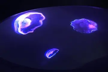 Hikari Enosui - Illuminated Underwater Wonderland