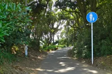 The pedestrian path in.