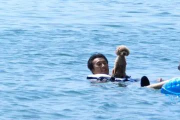 Even the puppy is getting in on the action!