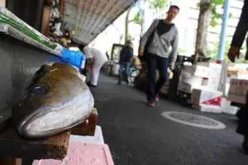 A taste of the outer market (Photo: <a href="https://www.flickr.com/photos/istolethetv/4685118548/in/photolist-qf5wqs-YiRjcs-6RPZSW-pi9Cks-pXGsui-pXzQA7-pXzSzs-pXzUt7-RB4UZH-7rNDvr-7rSz8b-RAgtGQ-891sw1-wwQ4EF-GLAQqR-GLAT2T-GLARo2-Nduvmf-weLrYh-wiVDoU-wwnRk6-weKEuE/" target="_blank" rel="noreferrer noopener nofollow">istolethetv</a> / <a href="https://creativecommons.org/licenses/by/2.0/" target="_blank" rel="noreferrer noopener nofollow">CC BY 2.0</a>)