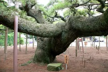 Zenyoji Temple