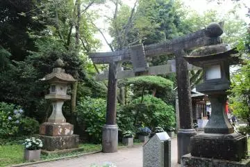 Gallery image