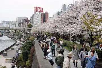 Visitors enjoying a stroll in spring in Sumida Park (Photo: <a href="https://www.flickr.com/photos/pokpok/3494002080/in/photolist-6jKF6b-9wzXf6-24wP8ij-Tf5KSz-FXpWqH-24friqz-22RG3EJ-24wPM3Y-22RE8Qh-kfPtNE-6jFuC4-6jKFYU-fcy2ZG-kfMMrP-6jFtzT-28ePUmJ-9wCWUJ-9wCWBW-9wzYwz-9wCVA9-T1gWf7-9wkKUp-egBATH-mxshP6-n4CbdT-n4DY3W-2e24Q3i-28j5nj8-d2g3SU-n4Cjme-28ePUeu-LbeBkQ-F52aKC-4BKhnY-6gtSHZ-qAyFtw-d2gmY1-n4DYu7-T1gWQ5-qj4KNU-qAt8ti-9wkWBV-9wkX2v-9woNbC-ecHEd9-pDDqa7-W9xxiT-2e24Qax-9wkVW4-9wkXpX" target="_blank" rel="noreferrer noopener nofollow">Christian Kadluba</a> / <a href="https://creativecommons.org/licenses/by-sa/2.0/" target="_blank" rel="noreferrer noopener nofollow">CC BY-SA 2.0</a>)