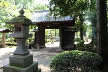 Gallery image