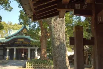 Wood, wood.... shrines and wood (Photo: <a href="https://commons.wikimedia.org/wiki/File:Ouji_Shrine_-_%E7%8E%8B%E5%AD%90%E7%A5%9E%E7%A4%BE_-_panoramio.jpg" target="_blank" rel="noreferrer noopener nofollow">Carbonium / CC BY 3.0</a>)