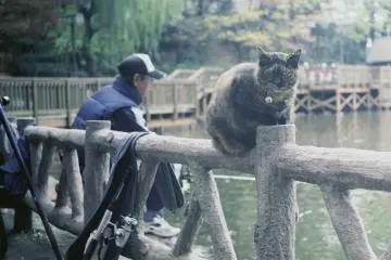 Local fishing at the pond, cats and all (Photo: <a href="https://www.flickr.com/photos/8305862@N07/6465031049/in/photolist-dArxcr-aRhYuz-r8QgoT-ds3cde-dYFxFT-aJYZfK-aSdmjK-oga14J-7mhsjV-qRpo7v-kFHsz-GaojMH-FnhqHS-GhJbw6-2gcisVb-2gbZQGC-2g7VGco-GNK8Ct-MdtXK-F93eA6/" target="_blank" rel="noreferrer noopener nofollow">Takayuki Miki</a> / <a href="https://creativecommons.org/licenses/by-nc-nd/2.0/" target="_blank" rel="noreferrer noopener nofollow">CC BY-NC-ND 2.0</a>)