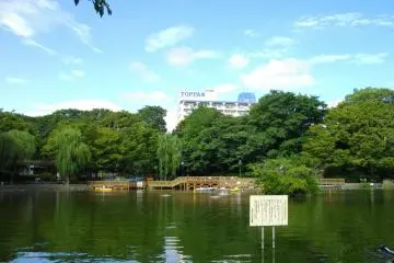 Mitsugi Park and its large open pond  (Photo: <a href="https://commons.wikimedia.org/wiki/File:Mitsugi_Park.JPG" target="_blank" rel="noreferrer noopener nofollow">Abasaa</a> / Public Domain)
